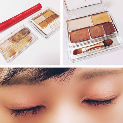 パーフェクトマルチアイズ/キャンメイク/アイシャドウパレットを使ったクチコミ(1枚目)