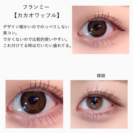 ReVIA 1day/ReVIA/ワンデー(1DAY)カラコンを使ったクチコミ(5枚目)