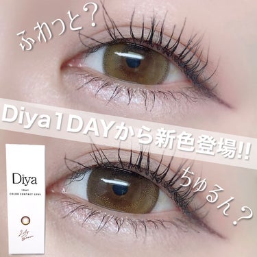 ♡
Diya 1day
Sophia Beige / Lily Brown
¥1,815 (1day / 10枚入)

レンズ直径14.5
着色直径13.6
BC 8.6

サンシティさん (@ ) に