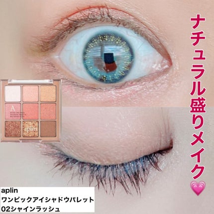 ワンピックアイシャドウパレット/APLIN/アイシャドウパレットを使ったクチコミ(1枚目)