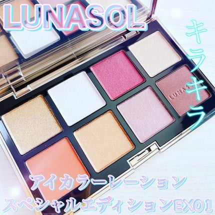 アイカラーレーション スペシャルエディション/LUNASOL/アイシャドウパレットを使ったクチコミ(1枚目)