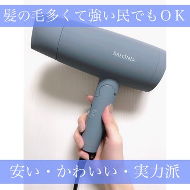 スピーディーイオンドライヤー グレー(WEB限定)/SALONIA/ドライヤーを使ったクチコミ（1枚目）