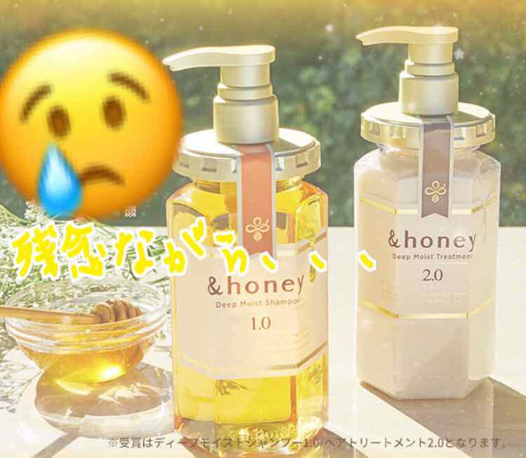 ディープモイスト シャンプー1.0/ヘアトリートメント2.0/&honey/市販シャンプーを使ったクチコミ(1枚目)