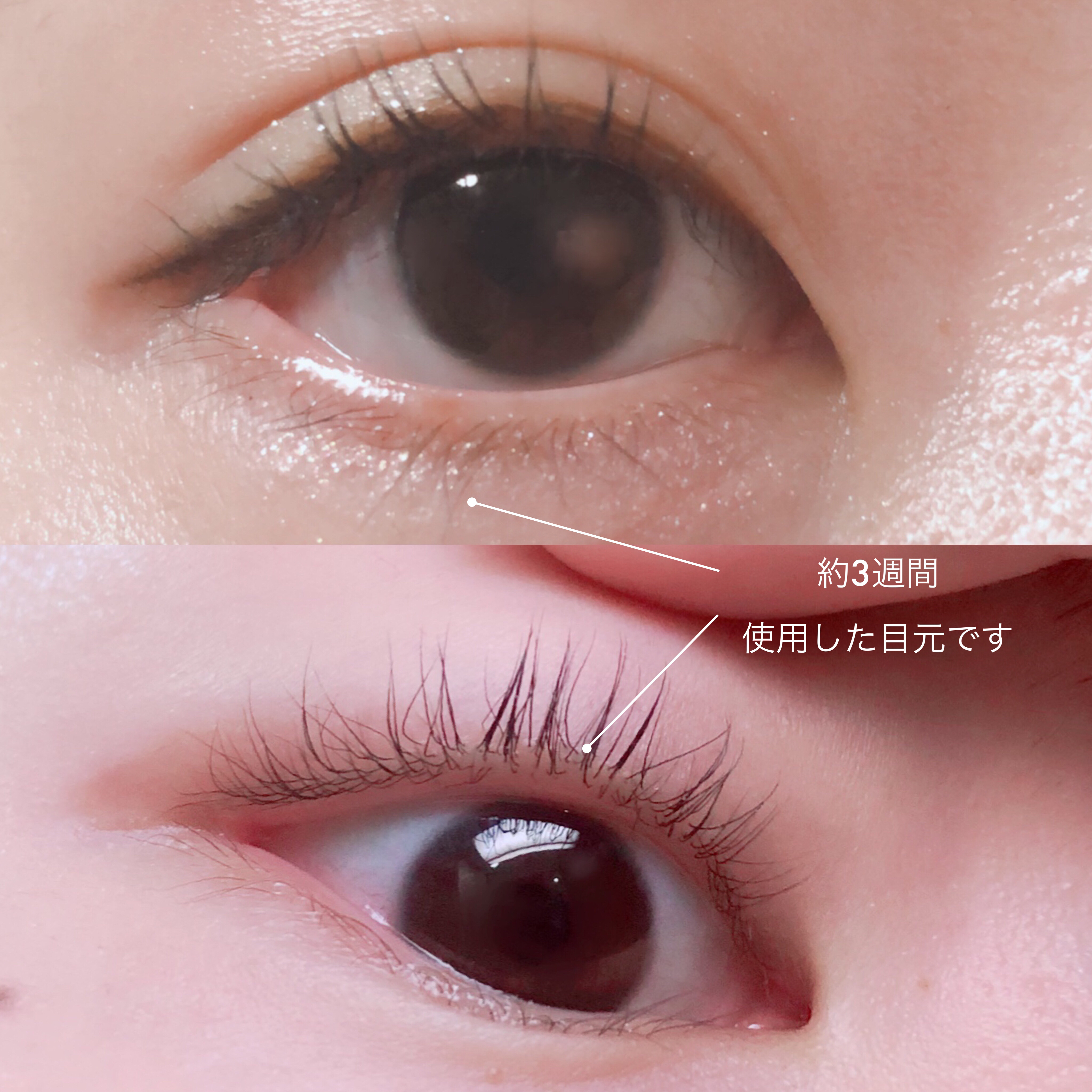 アイラッシュセラム/BASATTO/まつげ美容液を使ったクチコミ（2枚目）