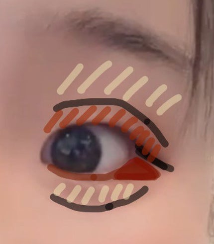 パーフェクトマルチアイズ/キャンメイク/アイシャドウパレットを使ったクチコミ(7枚目)