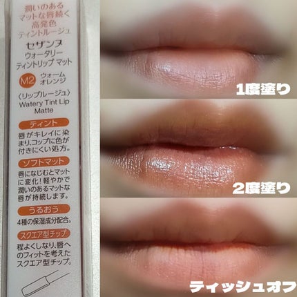 ウォータリーティントリップ マット/CEZANNE/リップティントを使ったクチコミ(2枚目)