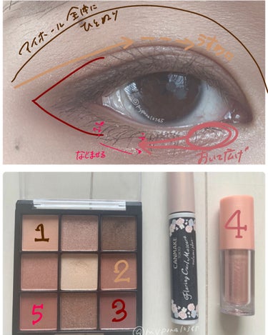 UR GLAM　BLOOMING EYE COLOR PALETTE/U R GLAM/アイシャドウパレットを使ったクチコミ（2枚目）