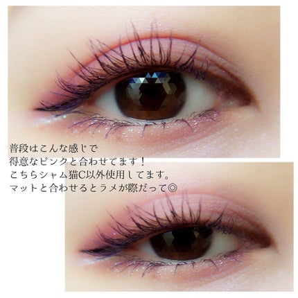 ロング&カラード ラッシュ/excel/マスカラを使ったクチコミ(8枚目)