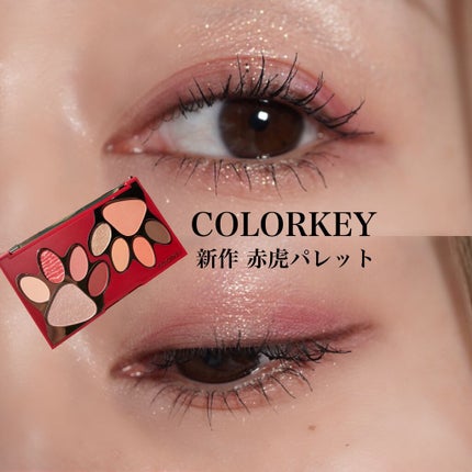 トラ十色アイシャドウパレット/COLORKEY/アイシャドウパレットを使ったクチコミ(1枚目)