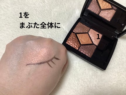 サンク クルール<ワイルド アース>/Dior/アイシャドウパレットを使ったクチコミ(3枚目)