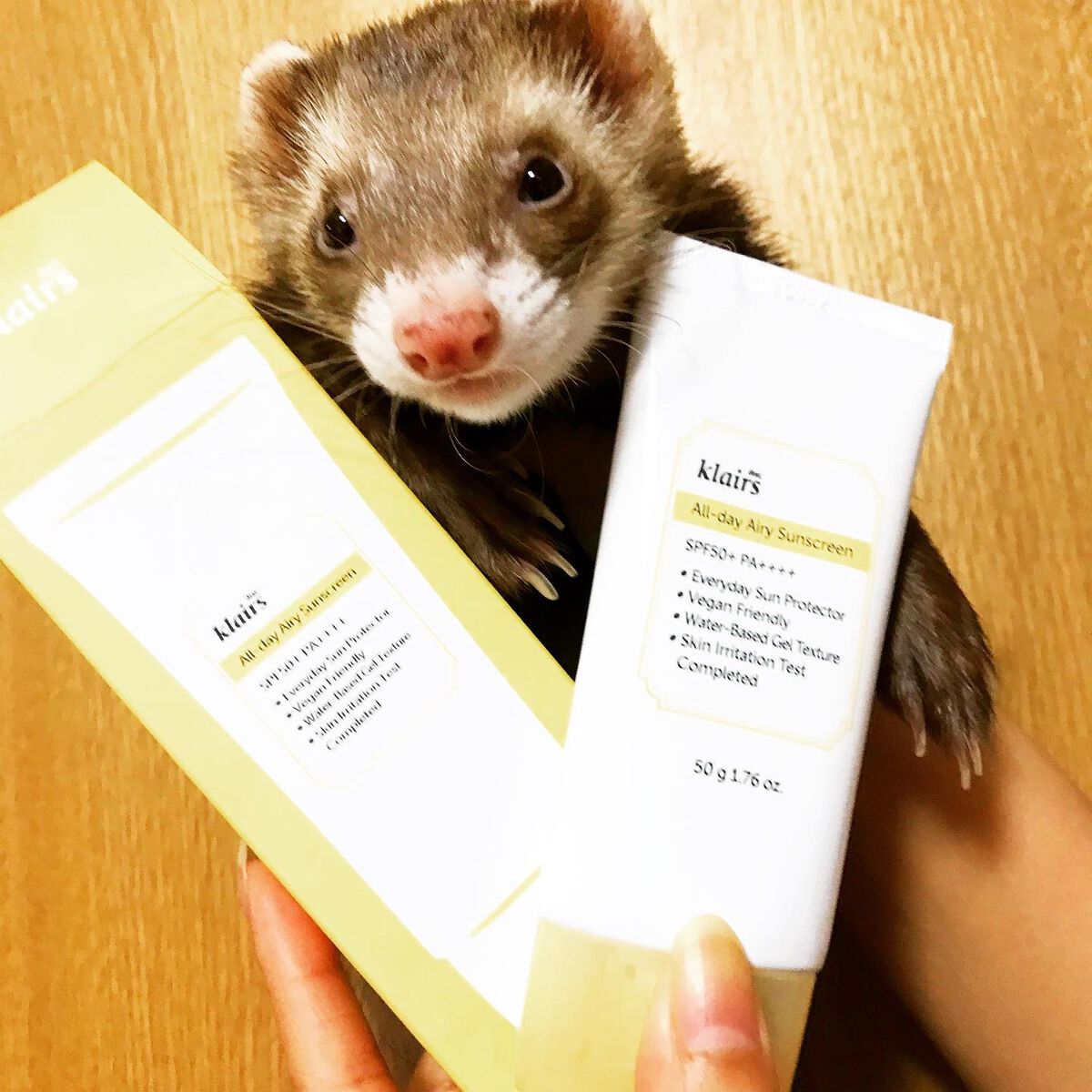 All-day エアリーサンスクリーン50g/Klairs/日焼け止めクリームを使ったクチコミ(4枚目)