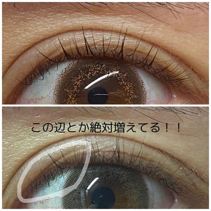 スカルプD ボーテ ピュアフリーアイラッシュセラム プレミアム/アンファー(スカルプD)/まつげ美容液を使ったクチコミ(3枚目)