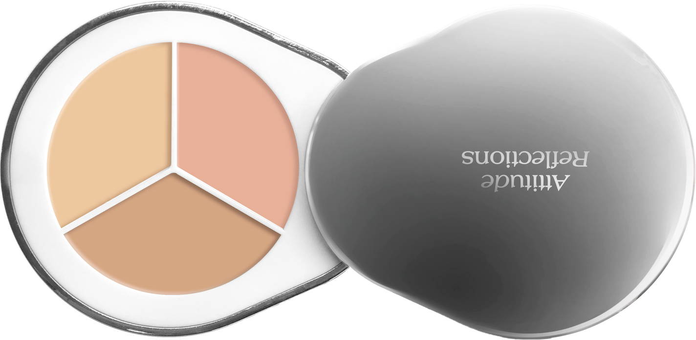 パーフェクトカバー コンシーラーパレット C01