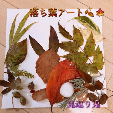 いいね!プラス たんぱく質を摂りたい方のキーマカレー/マイサイズ/食品を使ったクチコミ(3枚目)