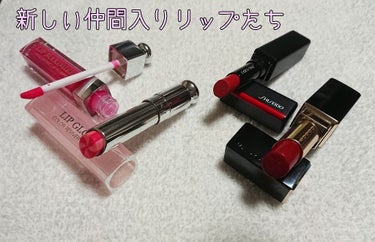 【旧】ディオール アディクト リップ マキシマイザー/Dior/リップグロスを使ったクチコミ（1枚目）