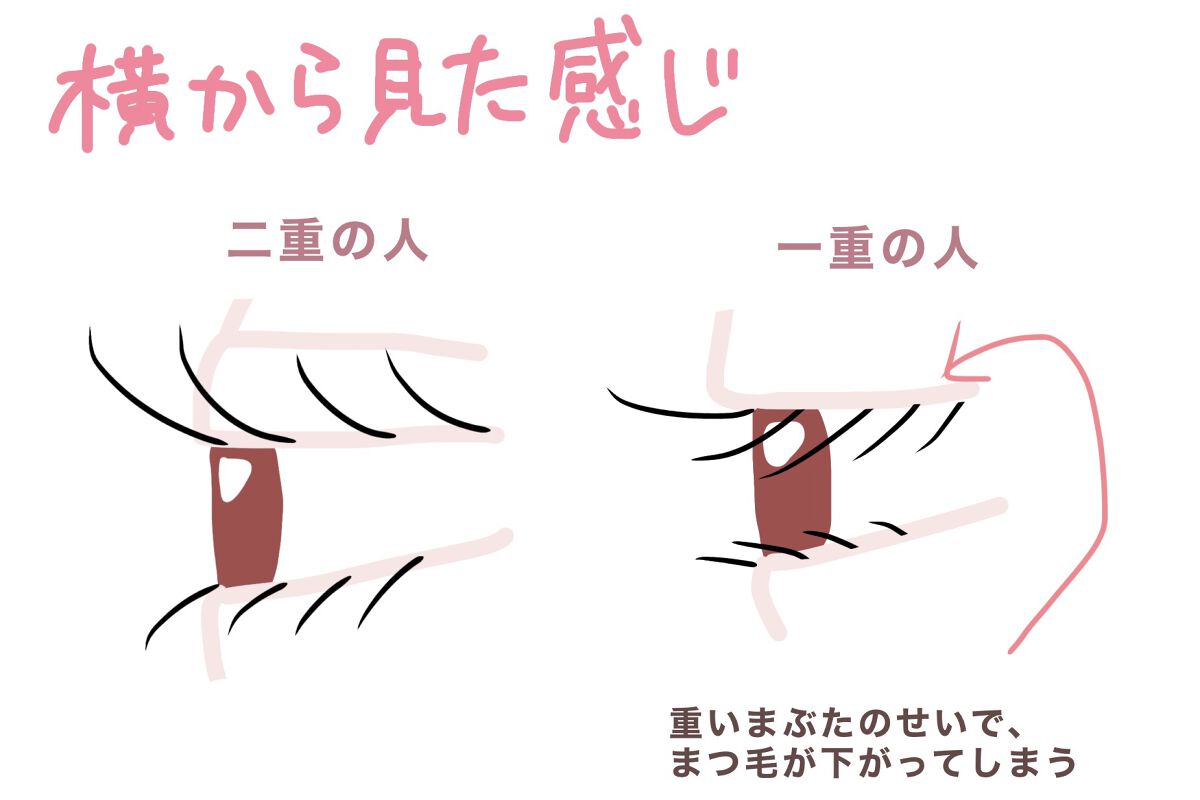 ラッシュフォーマー（クリア） CL-1 透明感ブラック/KATE/マスカラを使ったクチコミ（2枚目）