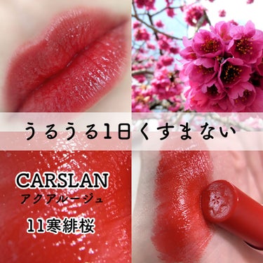 CARSLAN 桜シリーズ リップスティック 口紅 リップのクチコミ「▶︎CARSLAN桜シリーズ リップスティック 
/ #11 カンヒザクラ

こちらは世界中で.....」（1枚目）