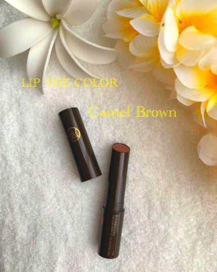 リップザカラー/リップザカラー/口紅を使ったクチコミ(1枚目)