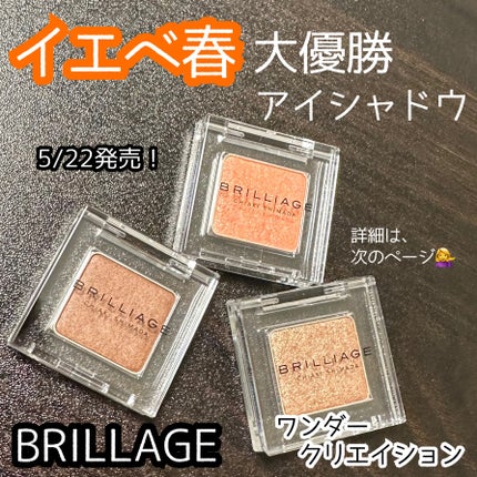 ワンダークリエイション /ブリリアージュ/単色アイシャドウを使ったクチコミ(1枚目)