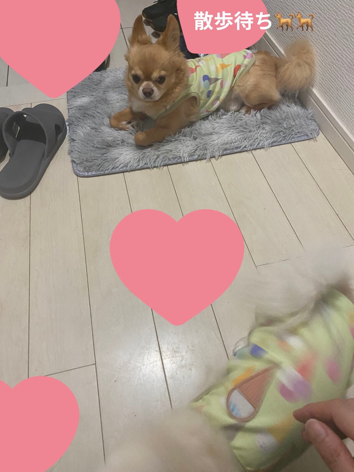 BASSPA エプソムソルト ゲルマニウム/BASSPA/炭酸系入浴剤を使ったクチコミ(6枚目)