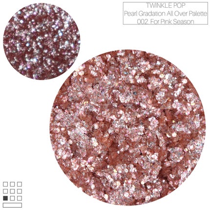 パールグラデーションオールオーバーパレット/TWINKLE POP/アイシャドウパレットを使ったクチコミ(3枚目)