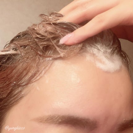 リムール ノンシリコンシャンプー・トリートメント/リムサプライ/サロンシャンプーを使ったクチコミ(4枚目)