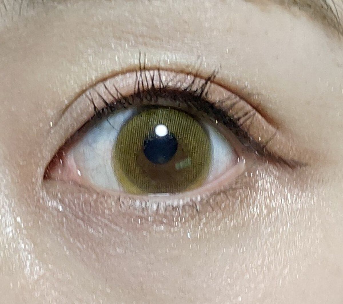 TOPARDS 1day ハニーアンバー/TOPARDS/ワンデー（１DAY）カラコンを使ったクチコミ（3枚目）