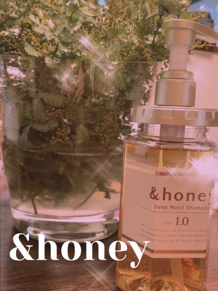 ディープモイスト シャンプー1.0/ヘアトリートメント2.0/&honey/市販シャンプーを使ったクチコミ(1枚目)