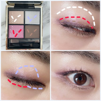 シグニチャー カラー アイズ/SUQQU/アイシャドウパレットを使ったクチコミ(2枚目)