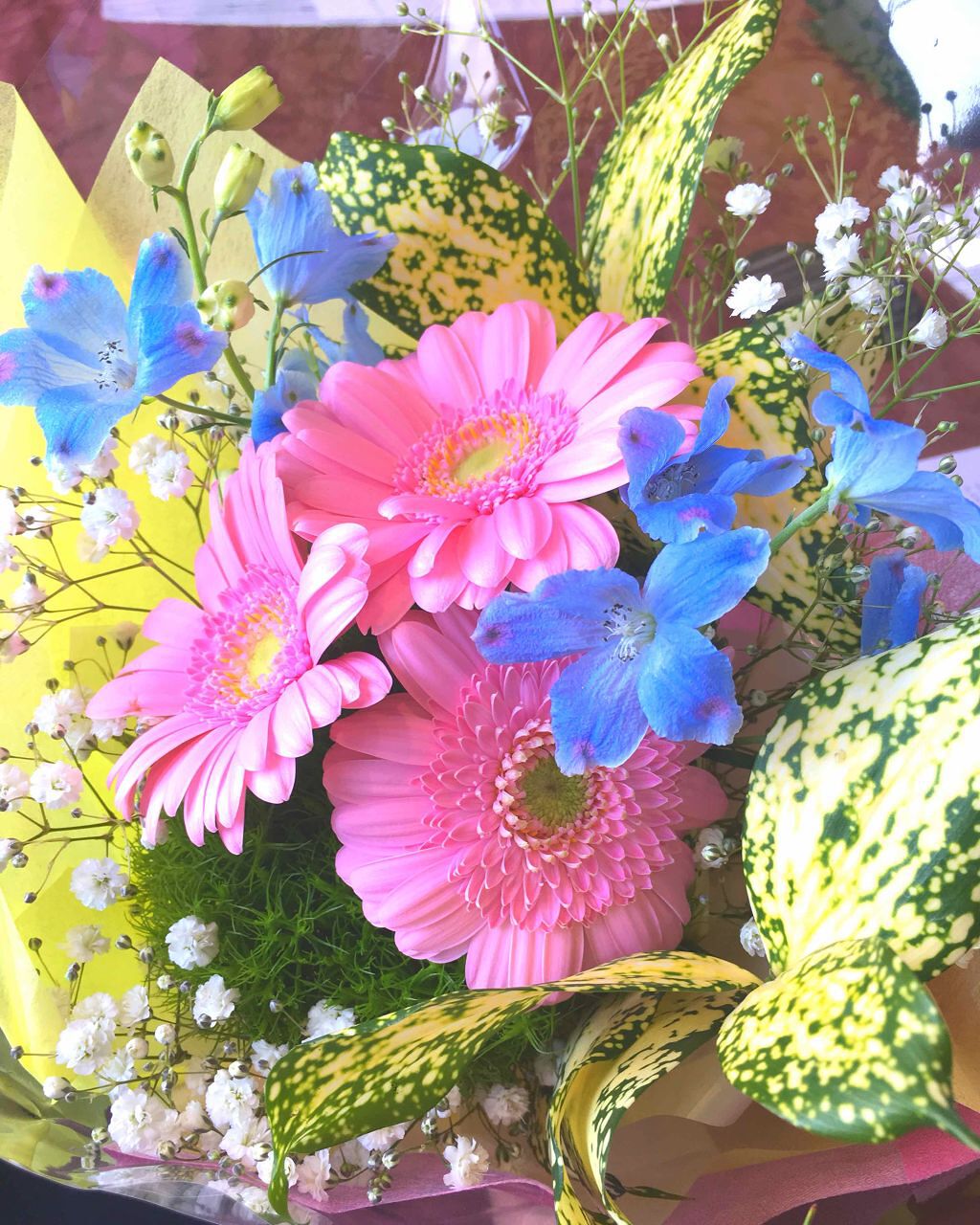 青 on LIPS 「先日やっとPC診断を受けてきたのでレポ!流れとしては、各色グル..」(1枚目)