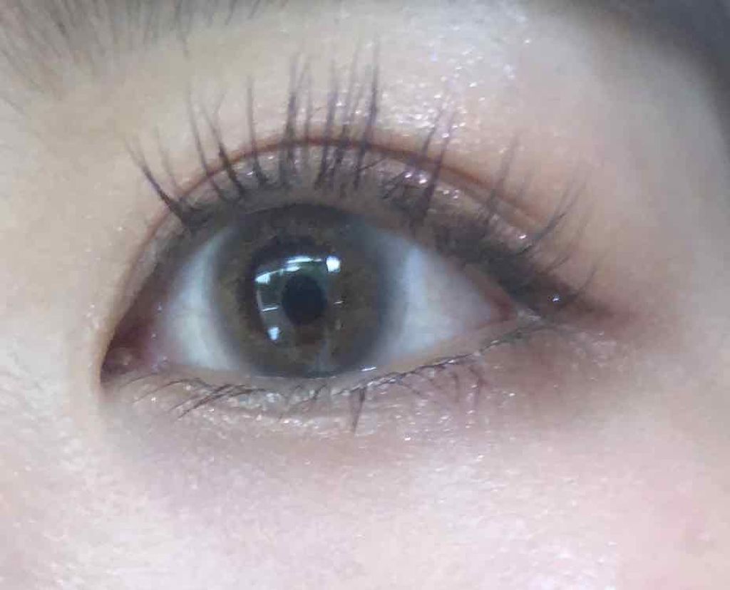 Angelcolor Bambi Series Vintage 1day/AngelColor/ワンデー(1DAY)カラコンを使ったクチコミ(1枚目)