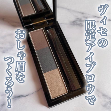 ヴィセ リシェ アイブロウパウダー/Visée/パウダーアイブロウを使ったクチコミ(1枚目)