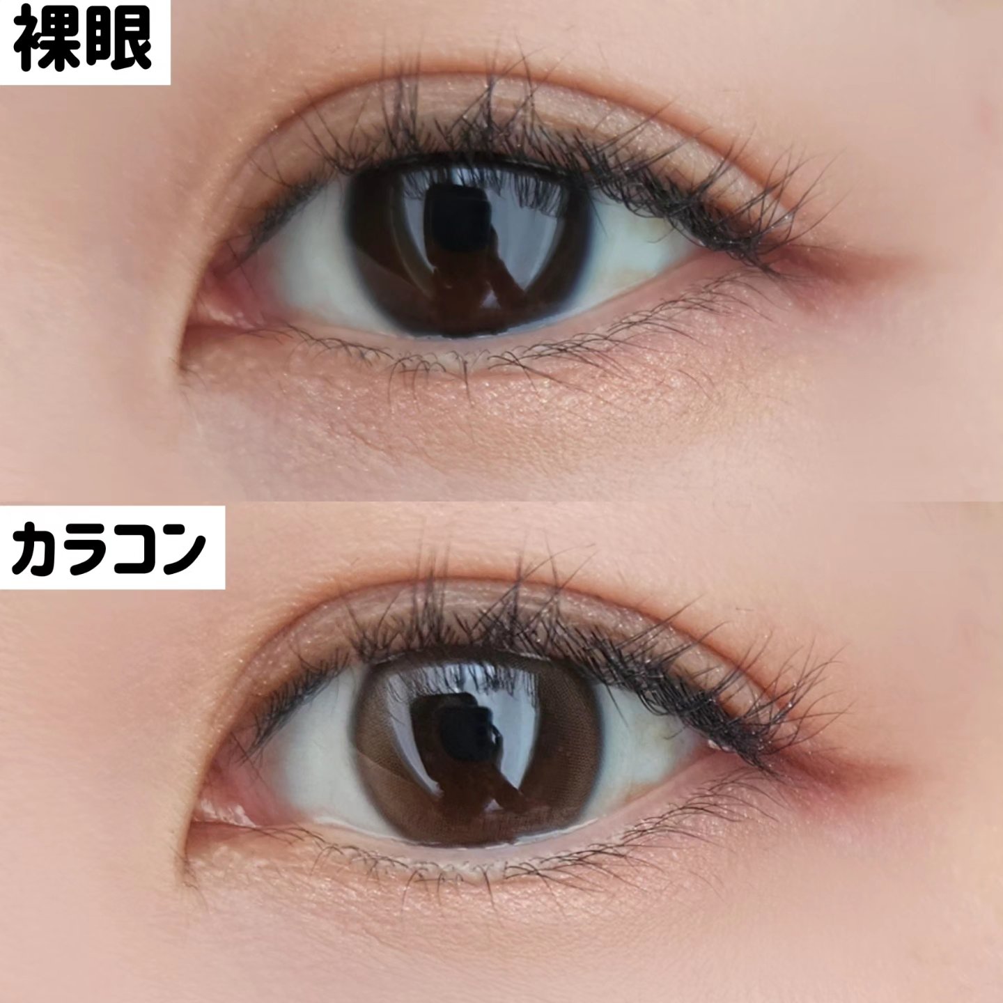 Dewy Kristin ブラウン/Hapa kristin/カラーコンタクトレンズを使ったクチコミ（3枚目）