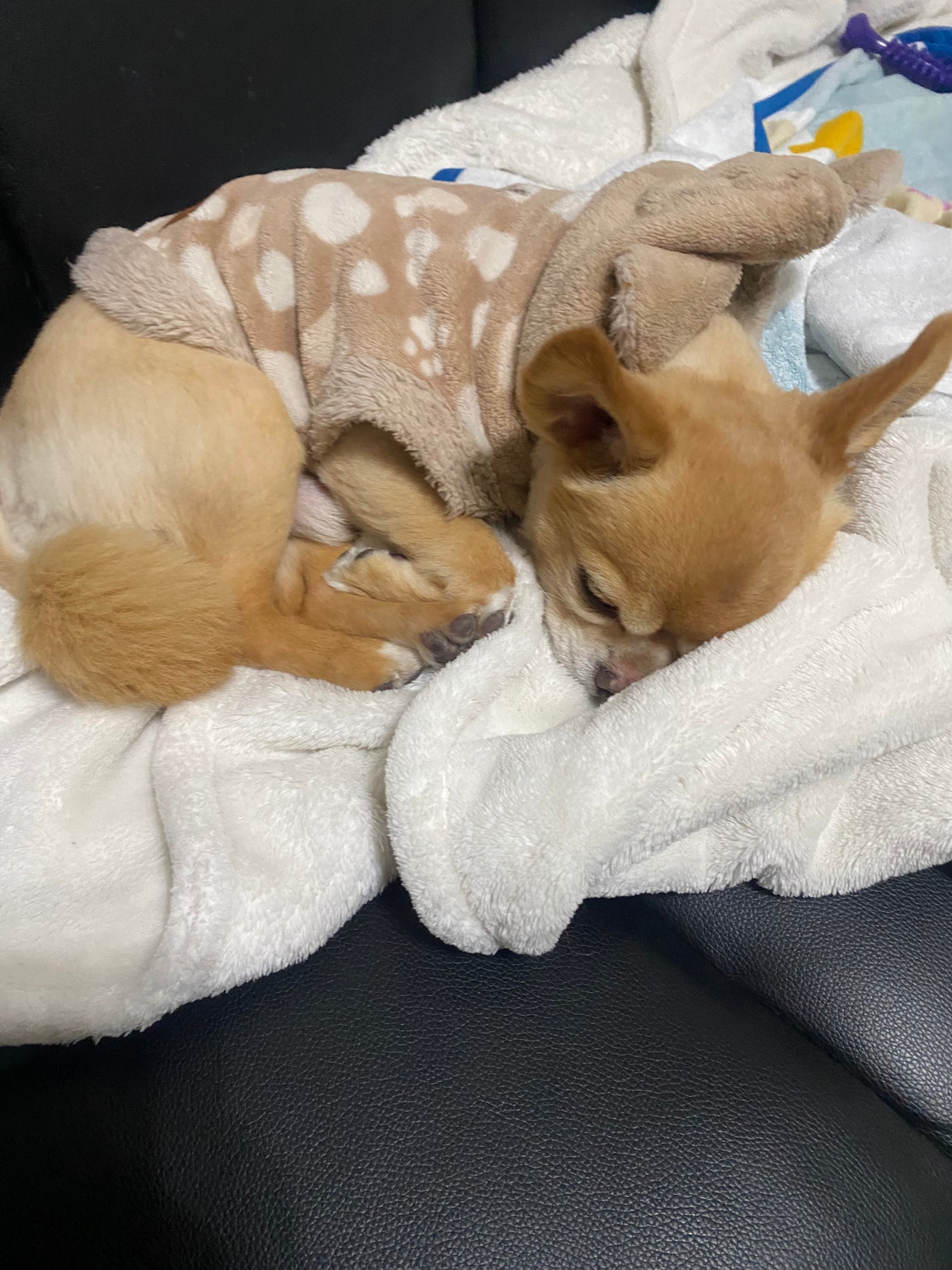 ミス ディオール オードゥ パルファン/Dior/香水(レディース)を使ったクチコミ(7枚目)