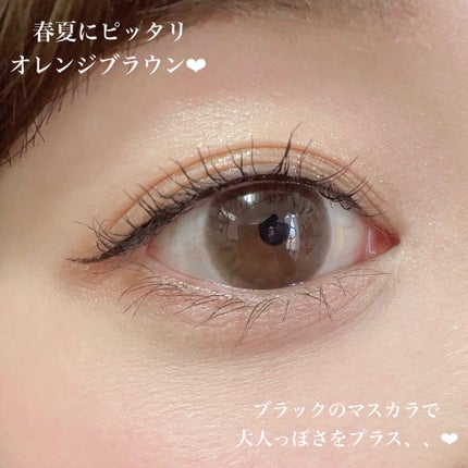 ごんす@YouTube始めました on LIPS 「《レッサーパンダアイシャドウメイク💗》とっても可愛いレッサーパ..」(5枚目)