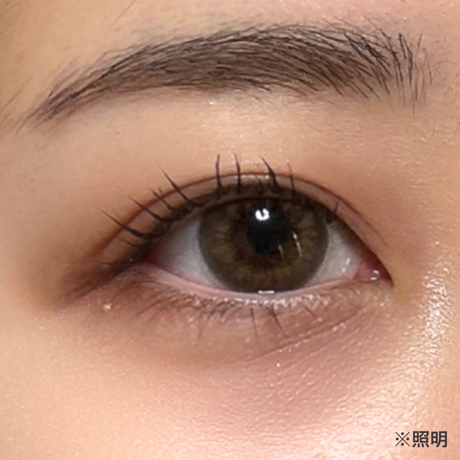 Angelcolor Bambi Series Vintage 1day ヴィンテージグレージュ/AngelColor/ワンデー（１DAY）カラコンを使ったクチコミ（3枚目）