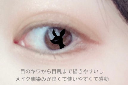 エアクリームペンシル /D-UP/ペンシルアイライナーを使ったクチコミ(6枚目)