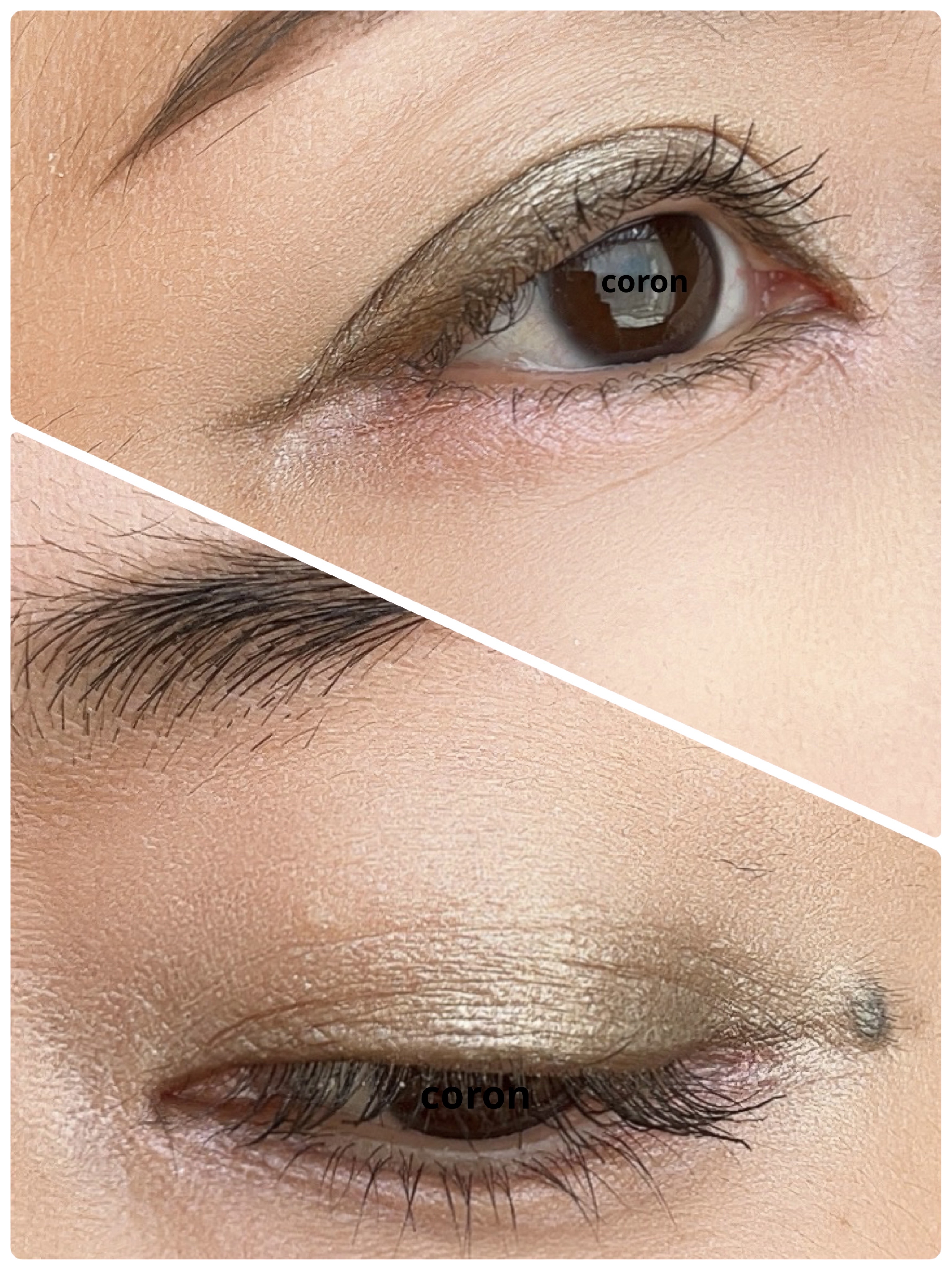 ソフトブラーリングアイパレット/wakemake/アイシャドウパレットを使ったクチコミ（2枚目）