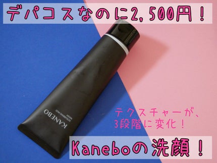 スクラビング マッド ウォッシュ/KANEBO/洗顔フォームを使ったクチコミ(1枚目)