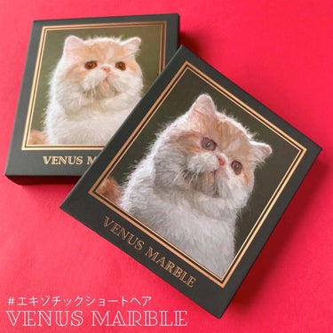 Venus Marble アイシャドウキャットシリーズ/Venus Marble/アイシャドウパレットを使ったクチコミ（7枚目）