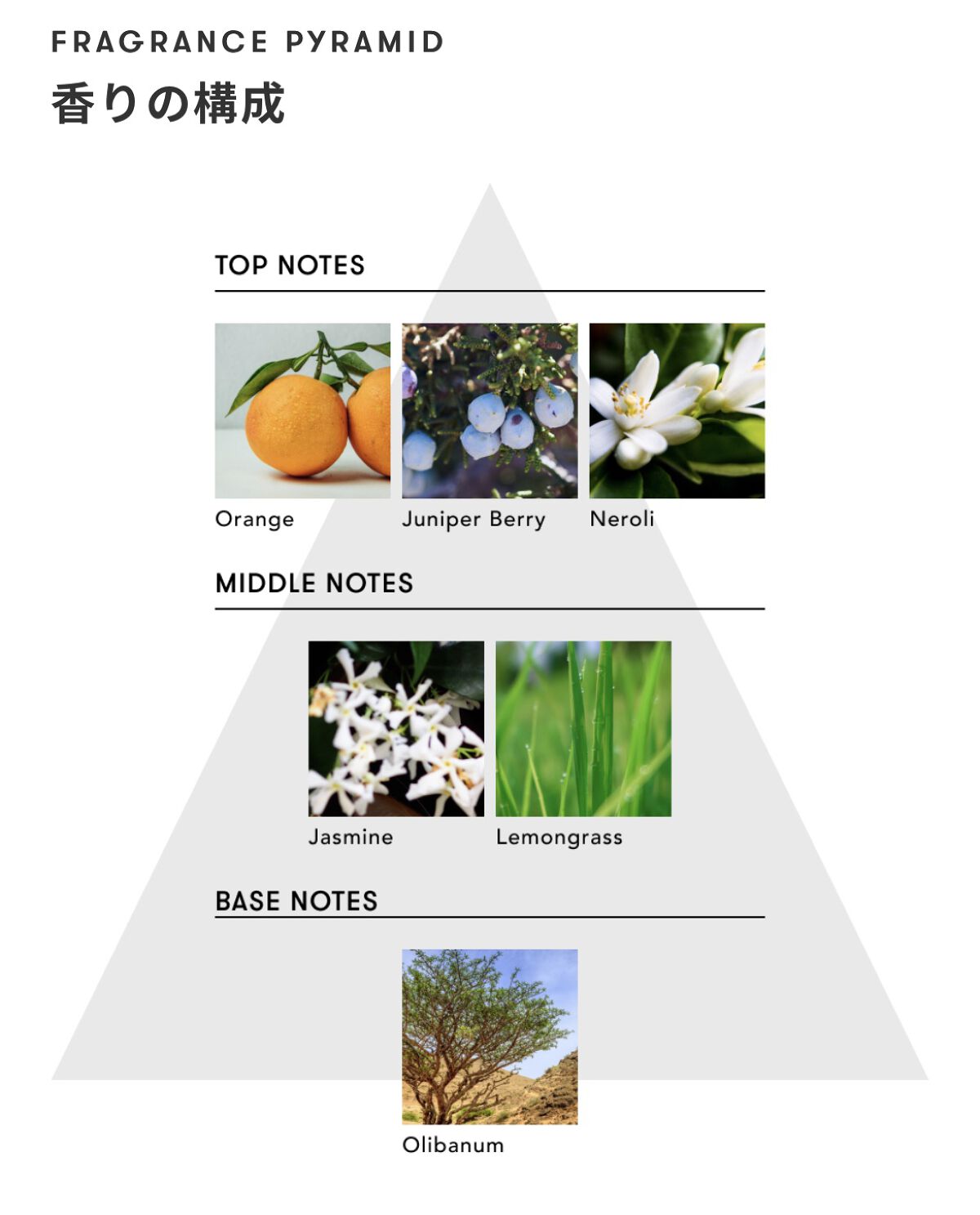 マインドフル フレグランス ノンアルコール スティルネス＆エナジー/SINN PURETÉ/香水(レディース)を使ったクチコミ（2枚目）