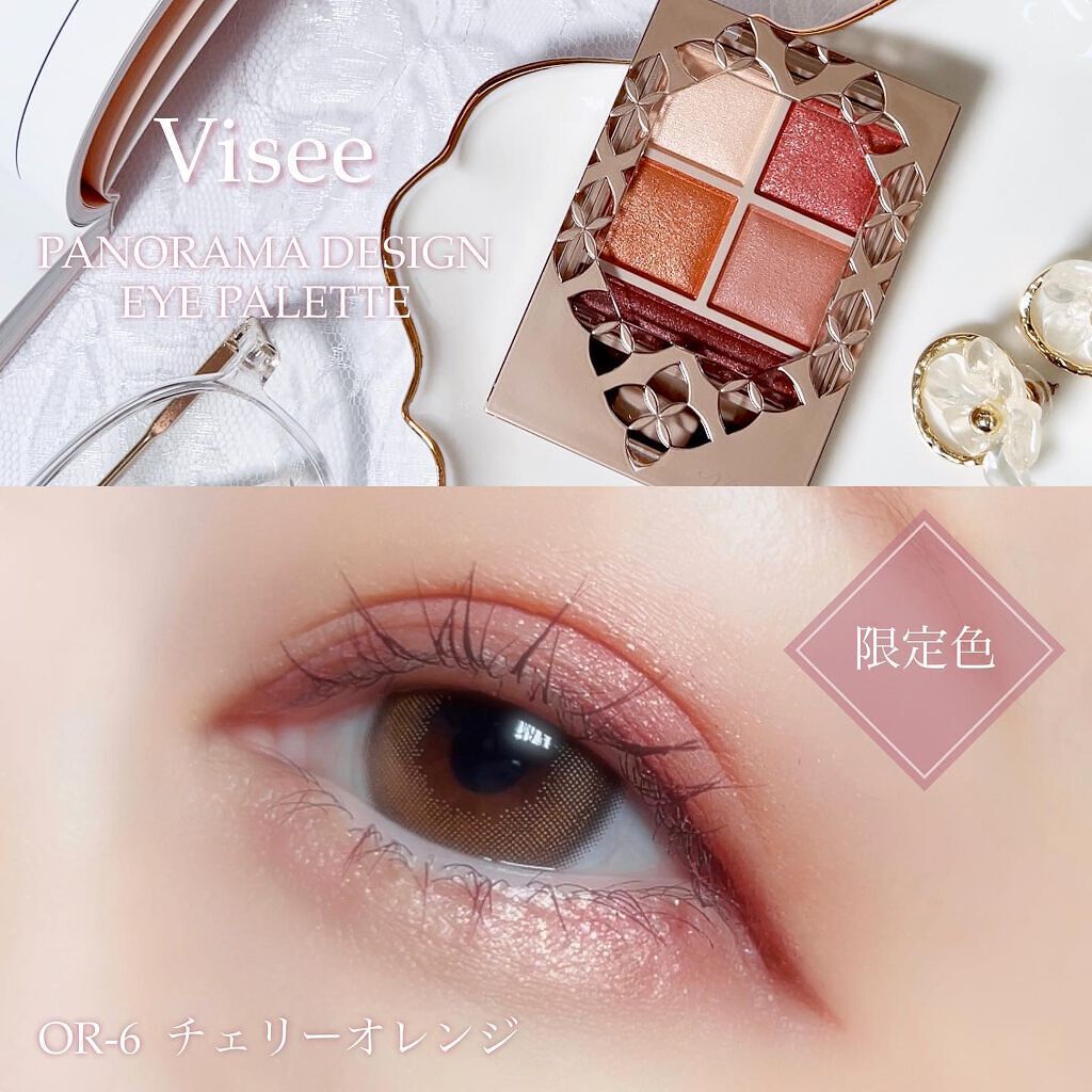 パノラマデザイン アイパレット/Visée/アイシャドウパレットを使ったクチコミ(1枚目)