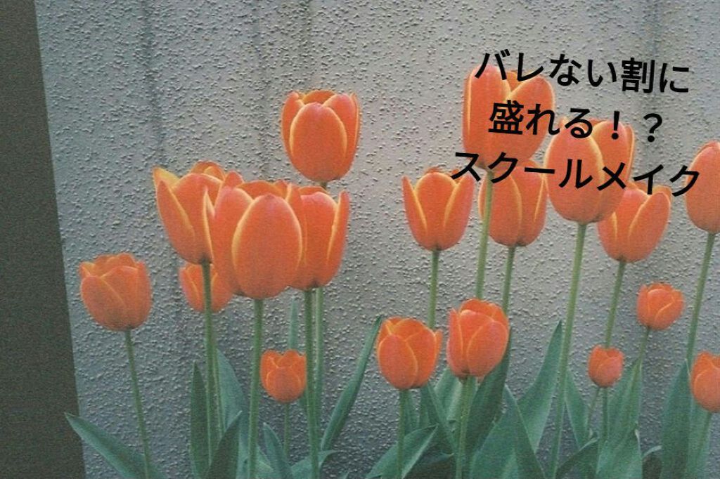 ノーセバム ミネラルパウダー/innisfree/ルースパウダーを使ったクチコミ（1枚目）