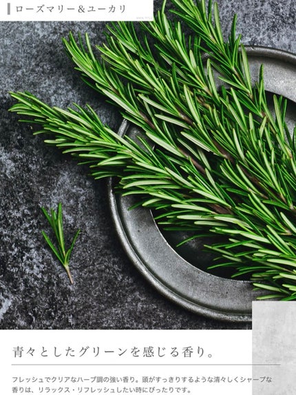 天然海塩バスソルト/NILE/入浴剤を使ったクチコミ(4枚目)