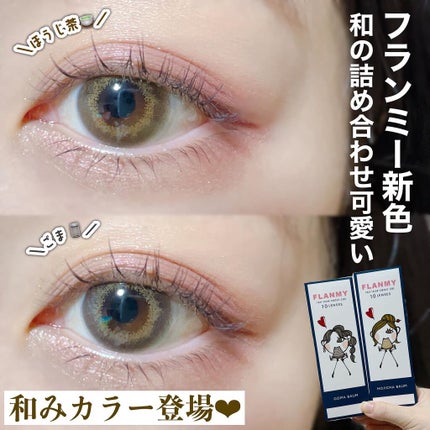 FLANMY 1day/FLANMY/ワンデー(1DAY)カラコンを使ったクチコミ(1枚目)