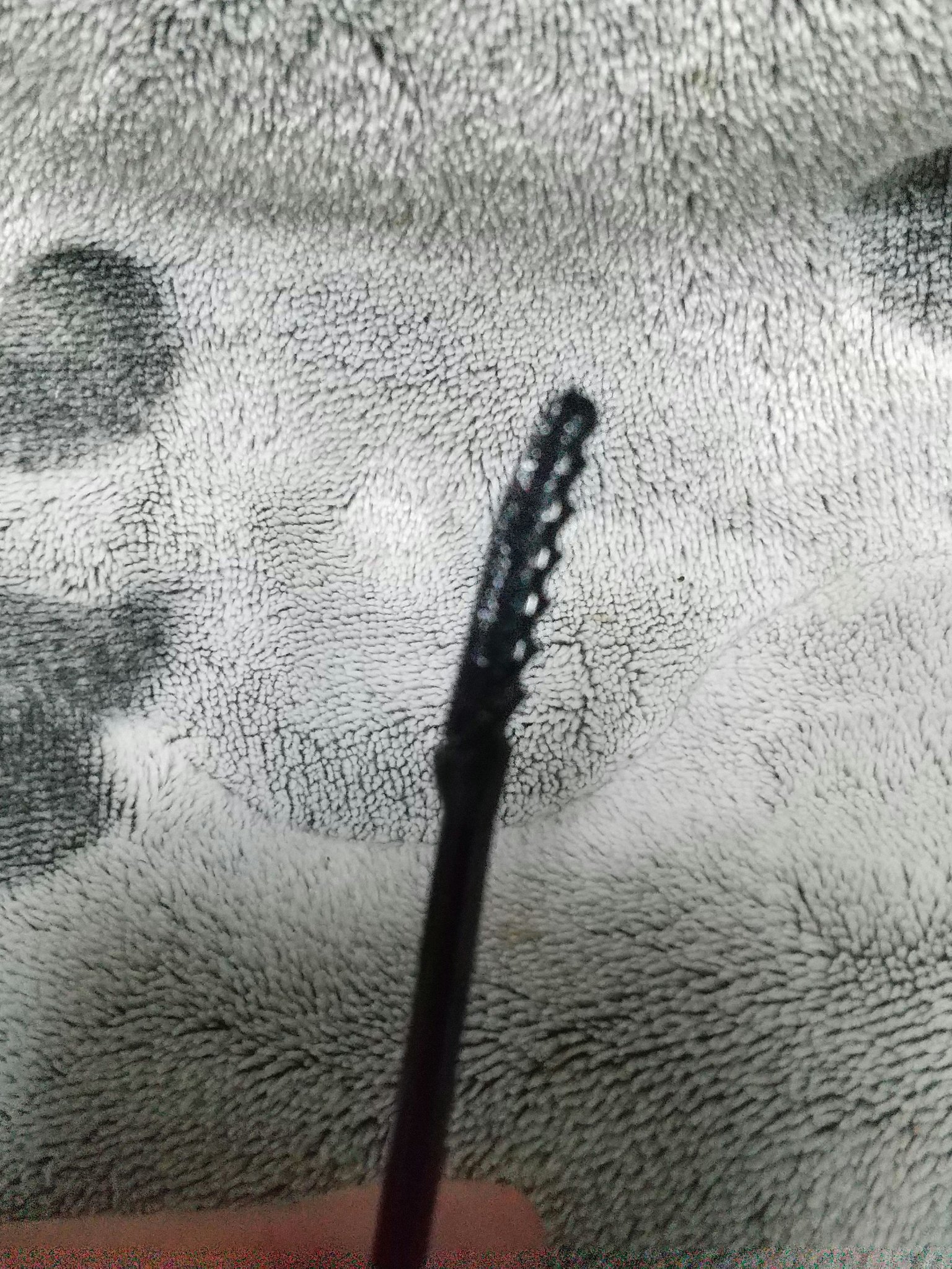 エテュセ アイエディション(ラッシュトップコート) 01 ラスターブラック/ettusais/マスカラトップコートを使ったクチコミ（3枚目）