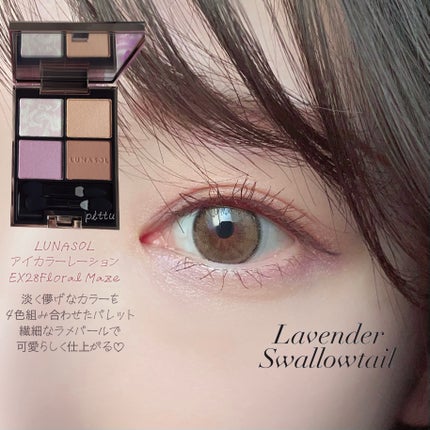 アイカラーレーション/LUNASOL/アイシャドウパレットを使ったクチコミ(2枚目)