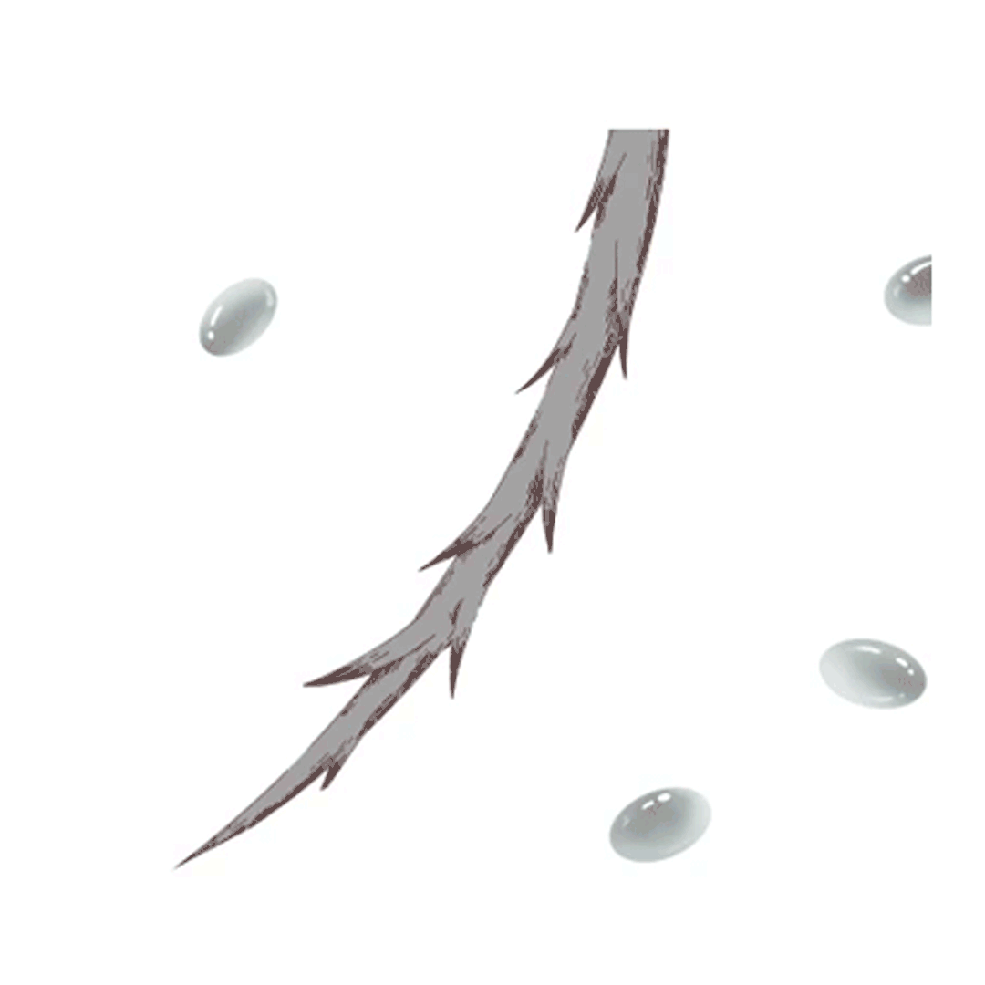 ボタニカルシャンプー／トリートメント(モイスト)/BOTANIST/シャンプー・コンディショナーを使ったクチコミ（3枚目）