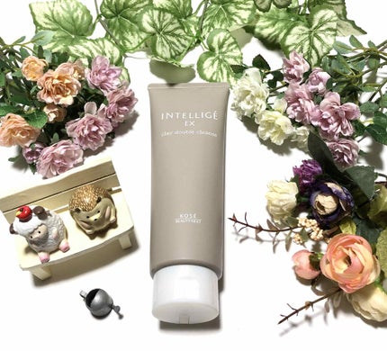 クレイ W クレンズ/アンテリージェEX/クレンジングクリームを使ったクチコミ(1枚目)