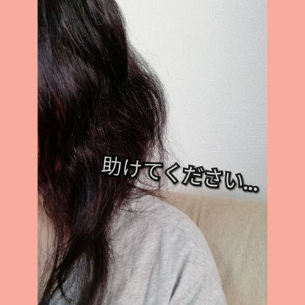 ããŒãã§ã¯ããã¥ãŒã㣠ã¢ã€ã¹ããã€ã¢ã³ ãšã¯ã¹ãã©ãã¡ãŒãžãªã㢠ã·ã£ã³ããŒ/ããªãŒãã¡ã³ã/ãã€ã¢ã³/åžè²©ã·ã£ã³ããŒã䜿ã£ãã¯ãã³ãïŒ1æç®ïŒ